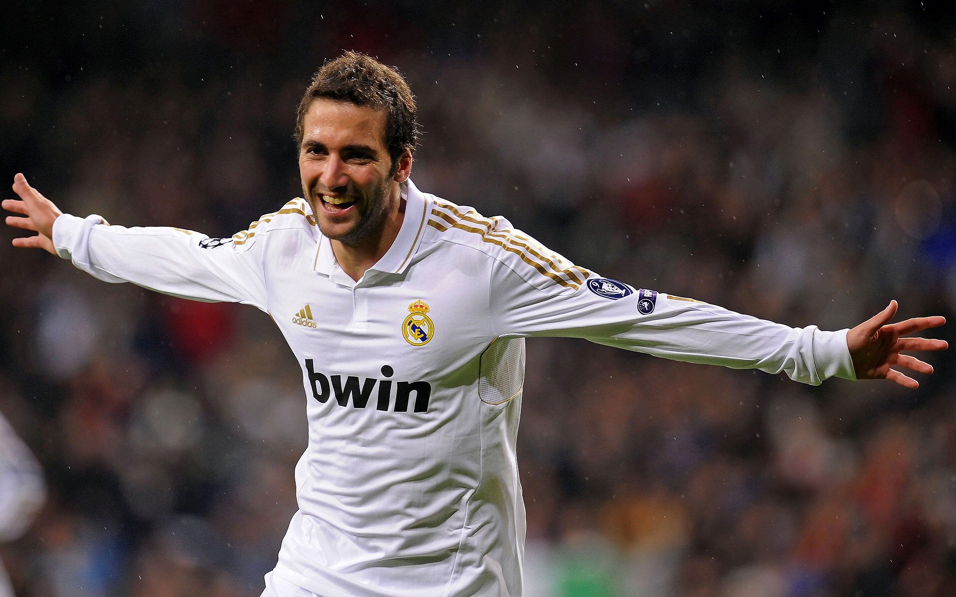 最“萌”的比赛：球迷与动物的趣味互动，动物踢球的游戏